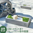 \3000円で5%OFFクーポン/ 苔テラリウム 盆景 聖新陶芸 瓦盆景 GD-1010 【聖新陶芸 栽培セット 栽培キット 苔 テラリウム 苔テラリウム 苔リ...