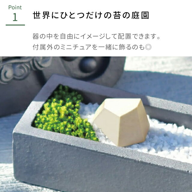 �ݥƥ�ꥦ�� �߷� ����ƫ�� ���߷� GD-1010 ������ƫ�� ���ݥ��å� ���ݥ��å� �� �ƥ�ꥦ�� �ݥƥ�ꥦ�� �ݥꥦ�� �߷� �߷ʥ��å� ���ե� �ץ쥼��� ���ڻ� ����� ����� ��Ϸ�����ۡ������ء�