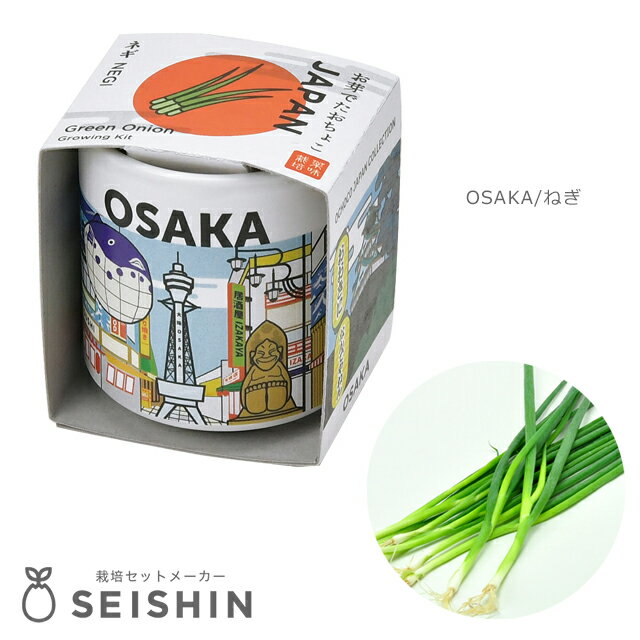 楽天市場】X（種類（植物）ネギ）（花・ガーデン・DIY）の通販