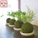 Kishima 和盆栽 消臭アーティフィシャルグリーン 人工観葉植物