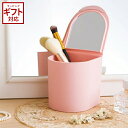 \3000円で5%OFFクーポン/ 八幡化成 sceltevie セルテヴィエ propetit プロプティ ミラー付きコスメティックケース メイク ボックス ...