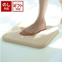 soil 　珪藻土　 ＼500円OFFクーポン配布中／ soil 日本製 珪藻土 バスマットスクエア B161 幅36cm 【 ソイル 国産 ノンアスベスト 珪藻土バスマット 珪藻土マット バスマット マット 足ふきマット 速乾 吸湿 吸水 無地 バスマット珪藻土 良好 濡れない 贈り物 ギフト 新築祝い 結婚祝い 】