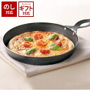 \3000円で5%OFFクーポン/ leye レイエ グリルピザプレート LS1502 日本製 【 おしゃれ しんぷる フライパン 魚焼きグリル対応 IH対応 ...