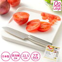 leye レイエ こぼれにくいフチ付きミニまな板 LES3206 日本製 【 コンパクト 小さいまな板 22.5cm 新生活 食洗機対応 一人暮らし 単身 自立...