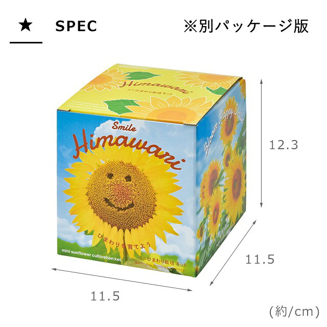 10001330-7.jpg