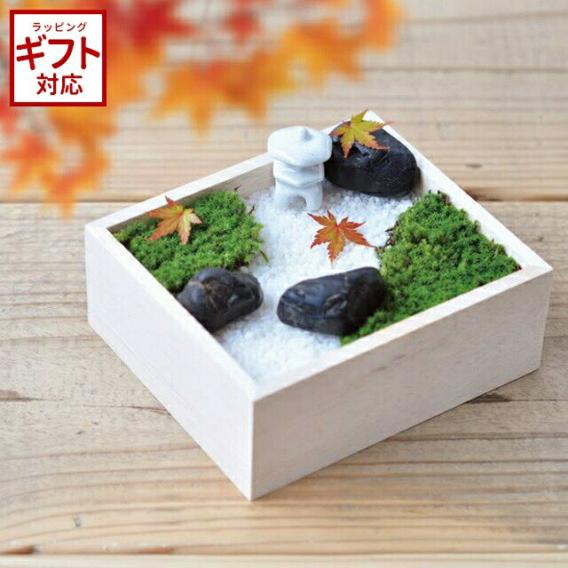 ＼全品5%OFFクーポン有／ 聖新陶芸 苔盆 【 ミニチュア 庭園作り 箱庭作り スナゴケ 栽培 盆景 セット ミニ灯籠 ミストスプレー 】