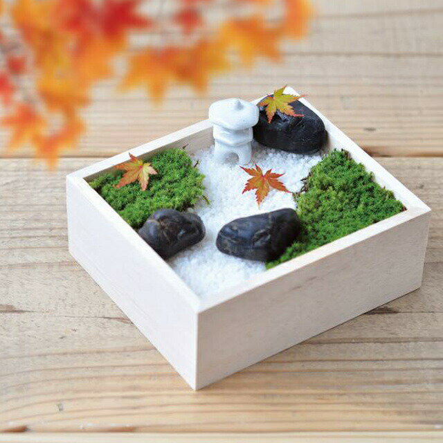 聖新陶芸 苔盆 【 ミニチュア 庭園作り 箱庭作り スナゴケ 栽培 盆景 セット ミニ...
