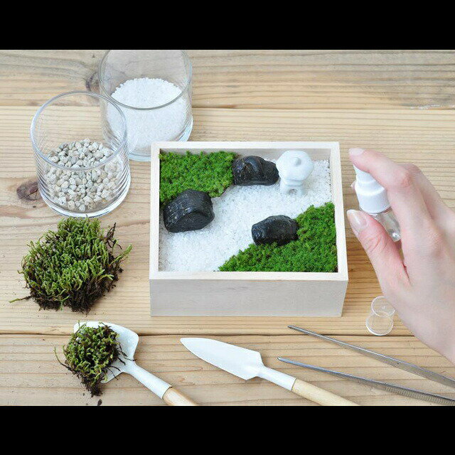 ����ƫ�� ���� �� �ߥ˥��奢 ������ Ȣ����� ���ʥ��� ���� �߷� ���å� �ߥ����� �ߥ��ȥ��ץ졼 �ۡ������ء�