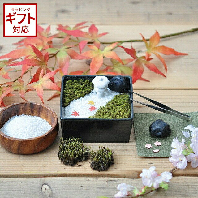 ＼全品5%OFFクーポン有／ 聖新陶芸 苔日和 【 ミニチュア 庭園作り 箱庭作り スナゴケ 栽培 盆景 セット ミニ灯籠 】