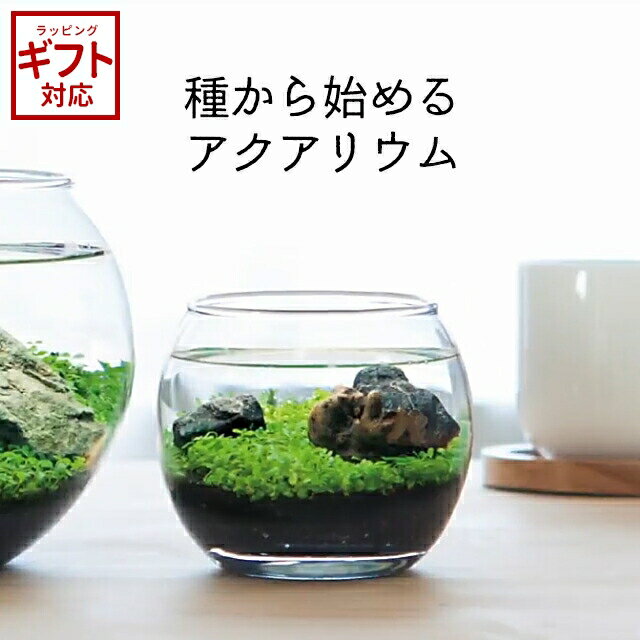 花瓶・フラワーベース