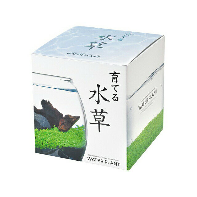 ���ݥ��å� ��Ƥ���� L GD-813 ����ƫ�� �� ľ��14.5cm ��ñ �鿴�Ը��� �������ƥ�ꥦ�� �������ꥦ�� �狼���Ƥ� �Ƶ٤� ���饹 ��ͳ���� �ۡ������ء�