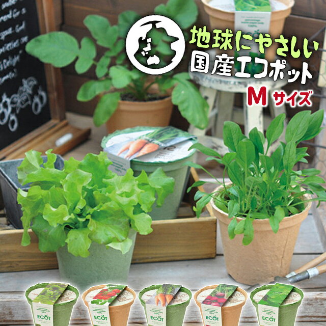 栽培キット 野菜 聖新陶芸 エコット M ECOT GD-411 【 栽培セット 室内 レタス ニンジン 青じそ ラディッシュ ミニトマト エコ 環境保護 再生紙 ガーデニング ポット 家庭菜園 】