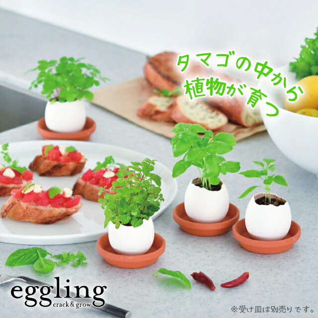 栽培セット 栽培キット 聖新陶芸 エッグリング クリアパッケージ EG57 【 初心者 eggling ミント バジル カクタス ワイルドストロベリー クローバー チリペッパー 卵型 かわいい プチギフト 野菜 花 】