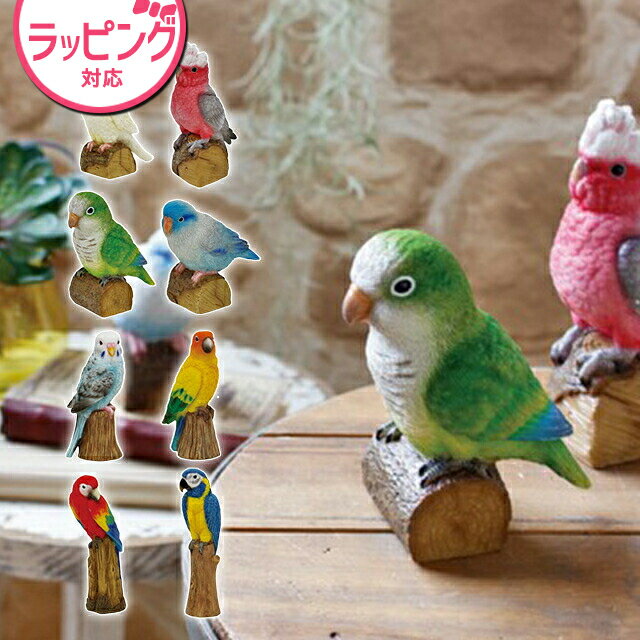 【100円OFFクーポン発行中】丸和貿易 ソリッドオブジェ インコ 置物 鳥 動物 インテリア