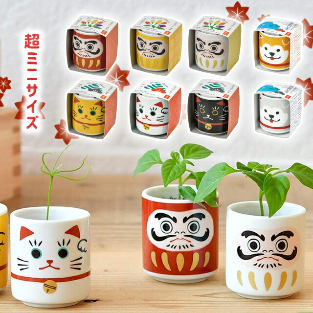 栽培キット 栽培セット 室内 聖新陶芸 お芽でたおちょこ 【 5色唐辛子 赤松 黒松 達磨 だるま 招き猫 まねきねこ 柴犬 忠犬ハチ公 縁起物 ギフト プレゼ...