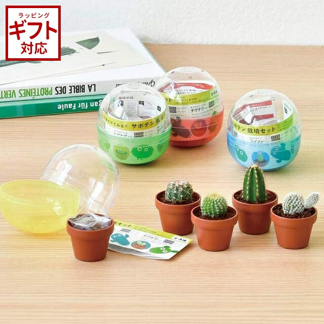 聖新陶芸 育てるカプセル サボテン GREEN CAPSULE 1個 【 栽培セット キット ガチャガチャ さぼてん 丸サボテン 柱サボテン うちわサボテン インテリア 置物 】