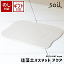 ＼500円OFFクーポン配布中／ soil 日本製 珪藻土 バスマットアクア B254 【 ソイル 国産 ノンアスベスト 珪藻土バスマット 珪藻土マット 速乾 吸湿 吸水 無地 バスマット珪藻土 良好 濡れない おしゃれ 軽量 衛生的 薄い 丈夫 速乾 足ふきマット 正規品 幅57.7cm 】