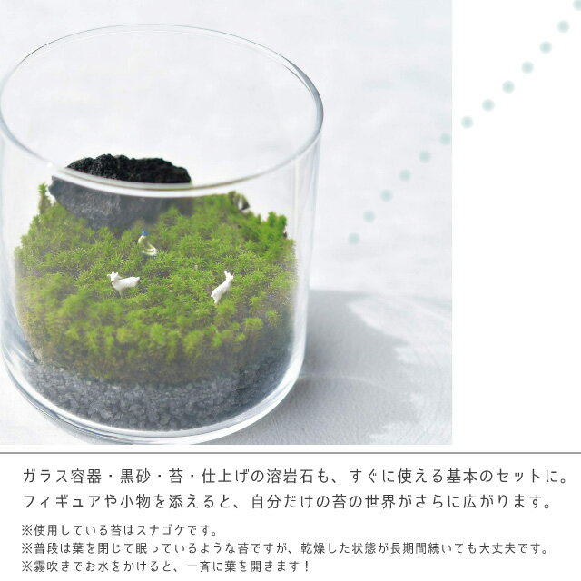 ����ƫ�� ���饹�ȥ⥹S GD-933 �� ����ƫ�� �� ���� �ݥƥ�ꥦ�� �ƥ�ꥦ�� �ݥƥ�ꥦ�७�å� �ƥ�ꥦ�७�å� ��ñ �鿴�� �������� �ۡ������ء�