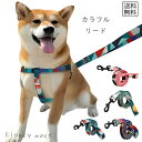 予約 ペットグッズ カラフルリード付きハーネス 小型犬 中型犬 猫用 散歩用 胴輪 カラフル おしゃれ 可愛い 調整可能 負担軽減 快適 お出かけ用品 リードセ...