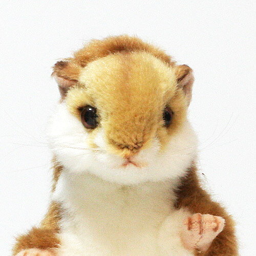 HANSA HAMSTER　（ハンサ ハムスター） 【ZS】の商品画像 2