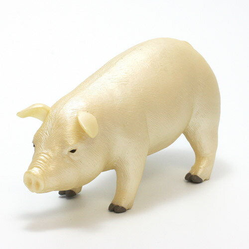 樂天商城 - NON COLORED PIG　（NON COLORED ブタ） 【AS】