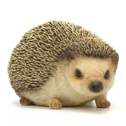 PET BANK HEDGEHOG ペット バンク ヘッジホッグ ハリネズミ 【AS】