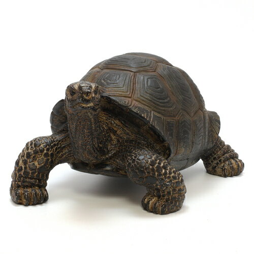 PET BANK TORTOISE ペット バンク トータス カメ 【AS】