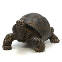 PET BANK TORTOISE　（ペット バンク トータス カメ） 【AS】