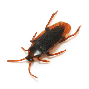 PCV COCKROACH　（PVC ゴキブリ）