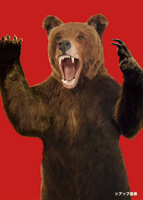 インテリアショップFLYERSのGRIZZLY POSTER　（グリズリー ポスター） 【AS】 【ZS】｜アングル2
