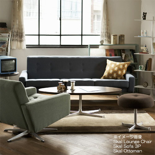 【SWITCH】 SKAL SOFA 2P S-SERIES-1 (スウィッチ スコール ソファ 2人掛 S-シリーズ-1) 【送料無料】 【SWP10B】 [2]