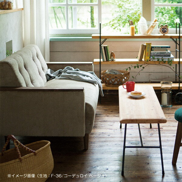【SWITCH】 WN SOFA 2P S-SERIES-1 (スウィッチ WN ソファ 2人掛 S-シリーズ-1) 【送料無料】 【SWP10B】 [2]