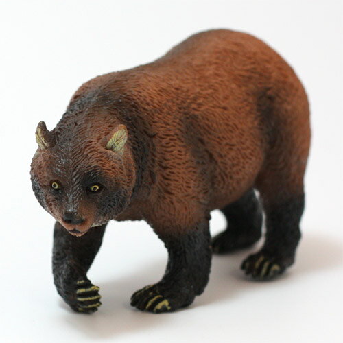 Rakuten - ANIMAL CLASSIC BEAR　（アニマルクラシッククマ）