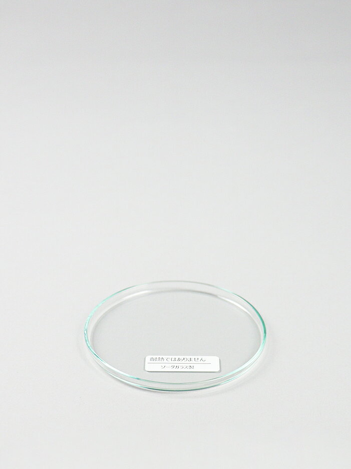 GLASS LID 83 (KL/DOF)　グラス蓋　ソーダガラス製　ふた　フタ　ホウケイ酸ガラス　インド　シンプル
