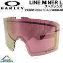 OAKLEY ꡼ڥ [Aoo7070LS-22] Prizm Rose Gold Iridium LINE MINER L 饤ޥʡ ץꥺ Ρ ʡڤб