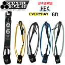 サーフィン リーシュコード CHANNEL ISLANDS HEX EVERYDAY 6’ チャンネルアイランド AL MERRICK アルメリック【即】