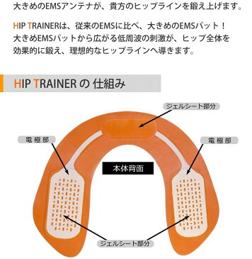 【ポスト投函 送料無料】HIP TRAINER ヒップトレーナー替えパット2枚入 EP-953