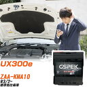 レクサス UX300e KMA10 R3/2- 標準地仕様車 バッテリー 車 GSPEK ENシリーズ D-54418/PL 【H04006】