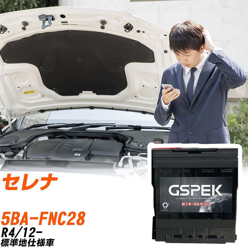   FNC28 R4/12- ɸϻͼ Хåƥ꡼  GSPEK EN꡼ D-LN3EFB/PL H04006