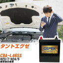 ダイハツ タントエグゼ L465S H23/7-H24/5 標準地仕様車 バッテリー GSPEK 車 Gシリーズ G-50B19L/PL 【H04006】
