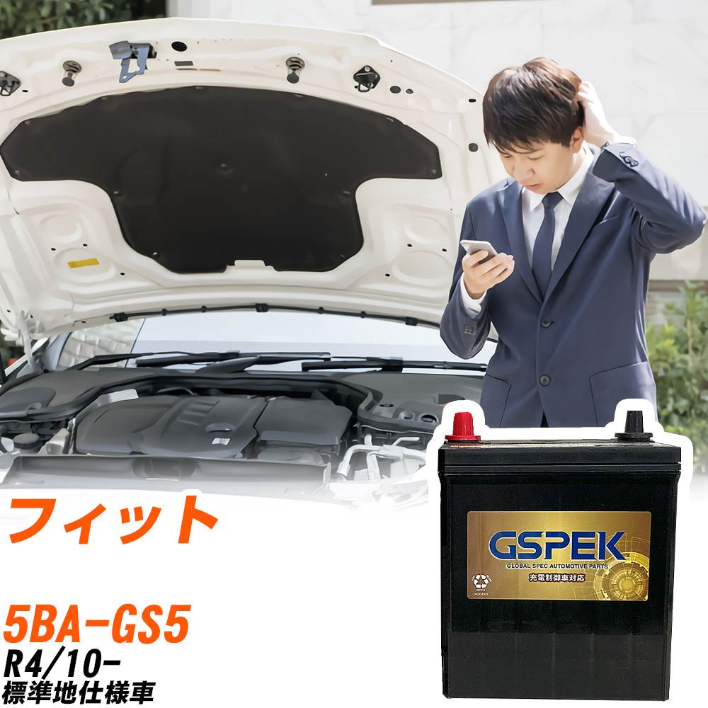 ホンダ フィット GS5 R4/10- 標準地仕様車 バッテリー GSPEK 車 Gシリーズ G-65B24L/PL 【H04006】