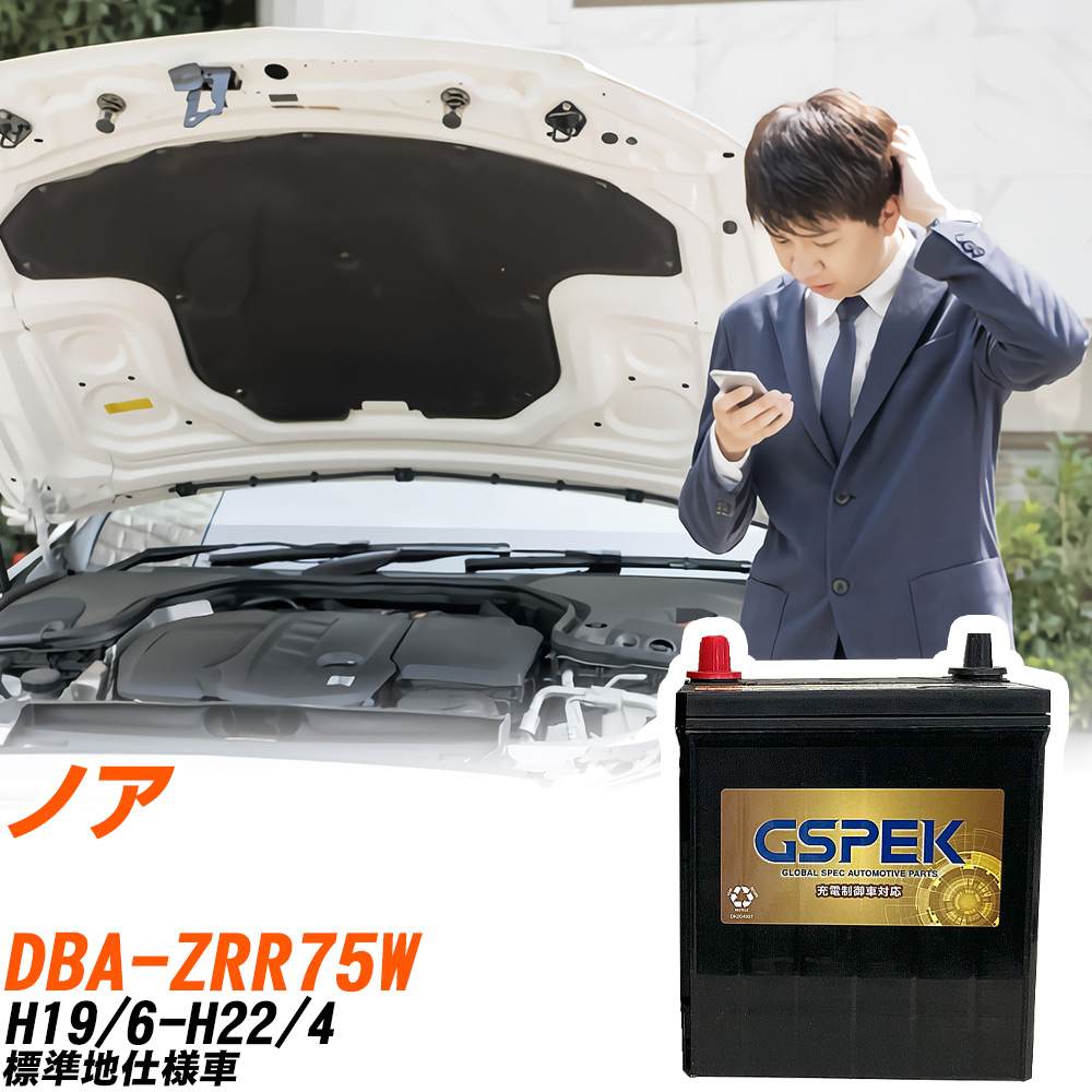 トヨタ ノア ZRR75W H19/6-H22/4 標準地仕様車 バッテリー GSPEK 車 Gシリーズ G-65B24L/PL 【H04006】