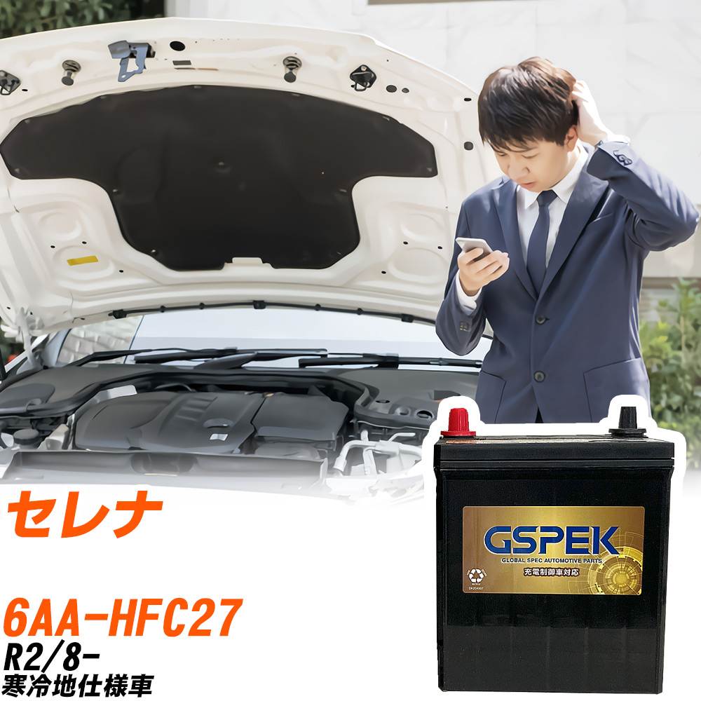 日産 セレナ HFC27 R2/8- 寒冷地仕様車 バッテリー GSPEK 車 Gシリーズ G-65B24L/PL 【H04006】