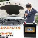 日産 エクストレイル NT30 H17/12-H19/8 寒冷地仕様車 バッテリー GSPEK 車 Gシリーズ G-85D23L/PL 【H04006】