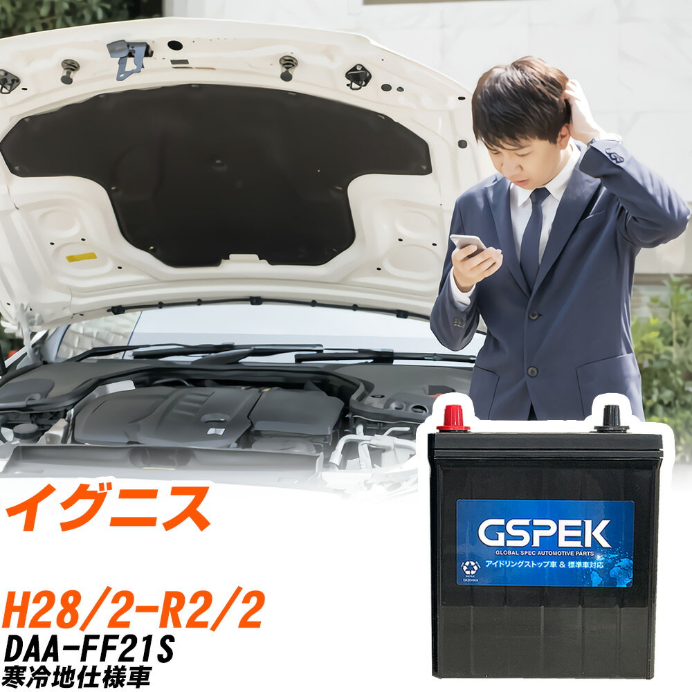 スズキ イグニス FF21S H28/2-R2/2 寒冷地仕様車 バッテリー 車用 GSPEK Wシリーズ W-N65/PL 【H04006】