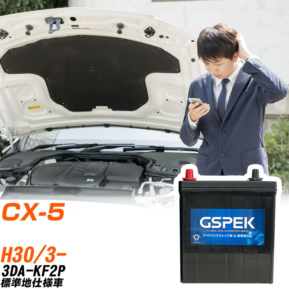 マツダ CX-5 KF2P H30/3- 標準地仕様車 バッテリー 車用 GSPEK Wシリーズ W-S100/PL 【H04006】