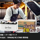 車 バッテリー いすゞ 大型トラック 1994(H6)/ KC-CYM81 寒冷地 19000cc GSユアサ PRX-195G51×2個 車検整備 自動車用品...