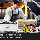 車 バッテリー いすゞ 中型バス ガーラミオ SDG-RR7JJCJ 標準地 6400cc GSユアサ PRX-195G51×2個 車検整備 自動車用品 【大型...