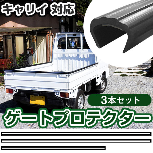 ddsgpspacy47-0273b.jpg ddsgpspacy47-0273b.jpg