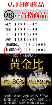 ダウンジャケット メンズ 大きいサイズ ダウン アウター インナーダウン ジャケット ブルゾン ビジネス M L LL 3L 軽量 薄手 防寒 カジュアル 秋冬 春 防寒着 ライトダウンジャケット 黒 グレー 送料無料 9504